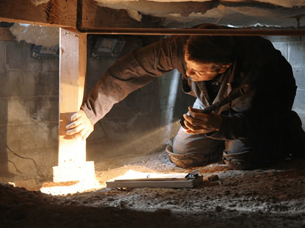 A professional inspecting wooden beams under the floor of a structure in Raleigh, NC